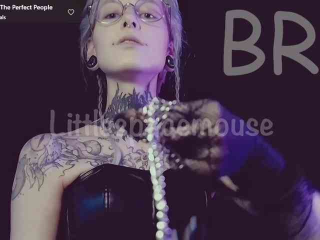 LittleSpaceMouse- webcam