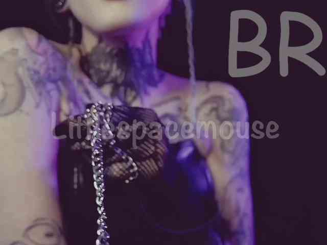 LittleSpaceMouse- webcam
