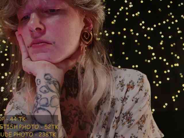 LittleSpaceMouse- webcam