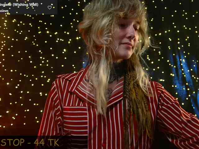 LittleSpaceMouse- webcam