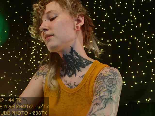 LittleSpaceMouse- webcam