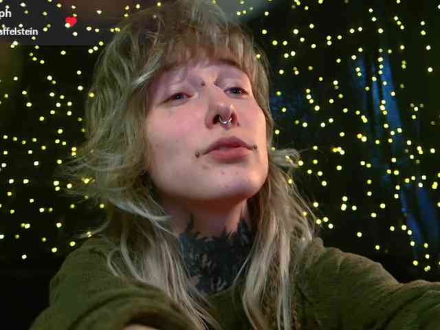 LittleSpaceMouse- webcam