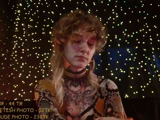 LittleSpaceMouse- webcam