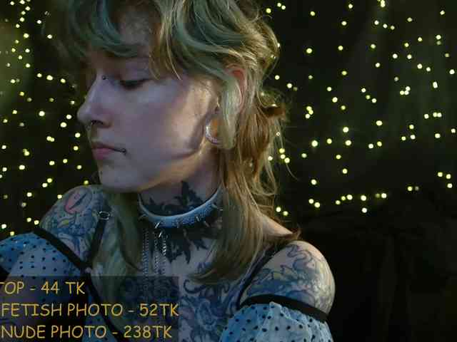 LittleSpaceMouse- webcam