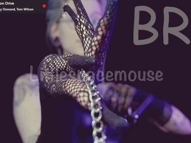 LittleSpaceMouse- webcam