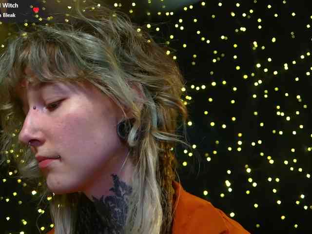 LittleSpaceMouse- webcam