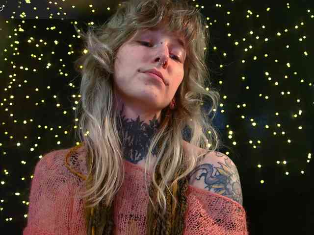 LittleSpaceMouse- webcam