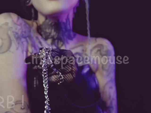 LittleSpaceMouse- webcam