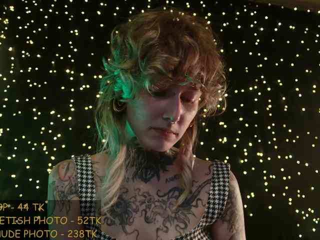 LittleSpaceMouse- webcam