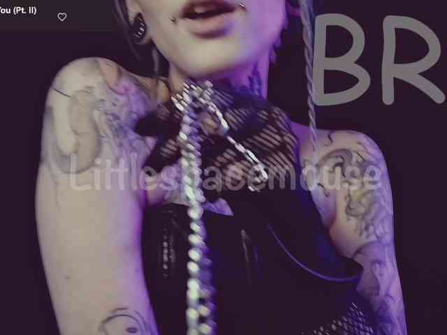 LittleSpaceMouse- webcam