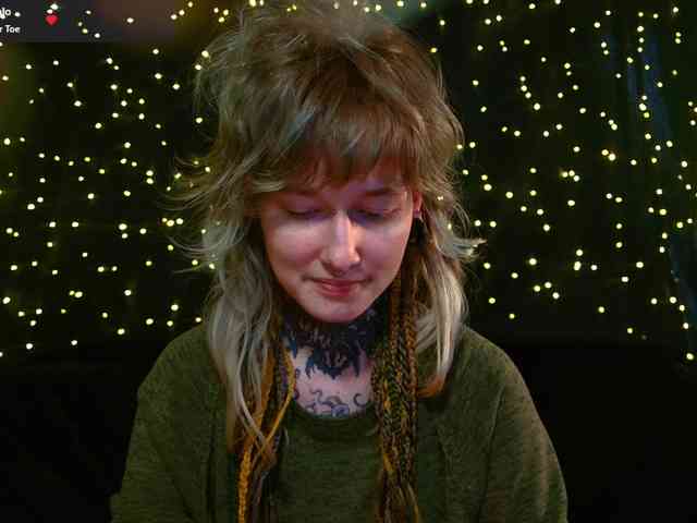 LittleSpaceMouse- webcam