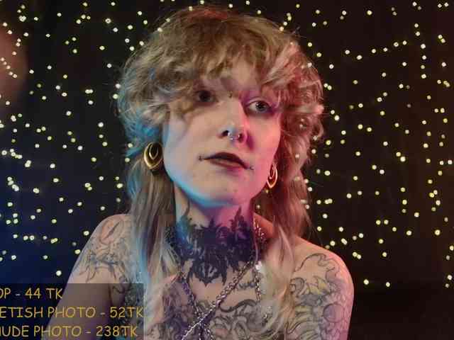 LittleSpaceMouse- webcam