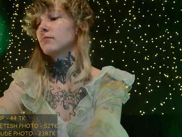 LittleSpaceMouse- webcam