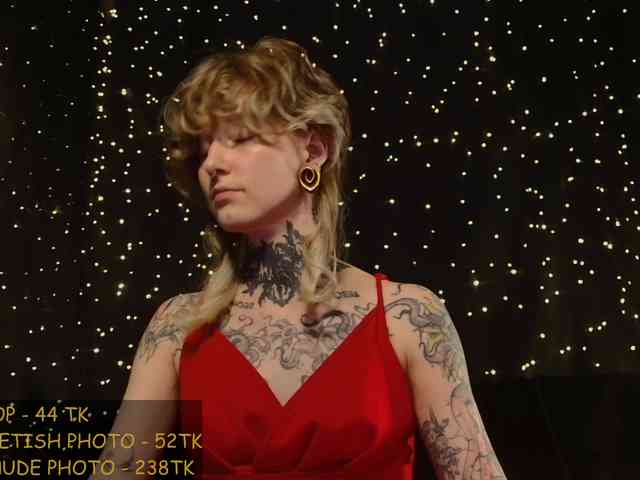 LittleSpaceMouse- webcam