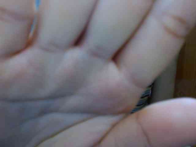 Ernesta102 webcam