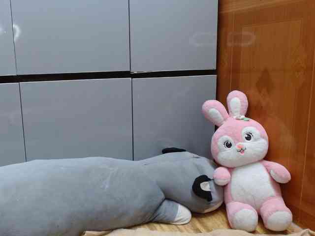 Ernesta102 webcam