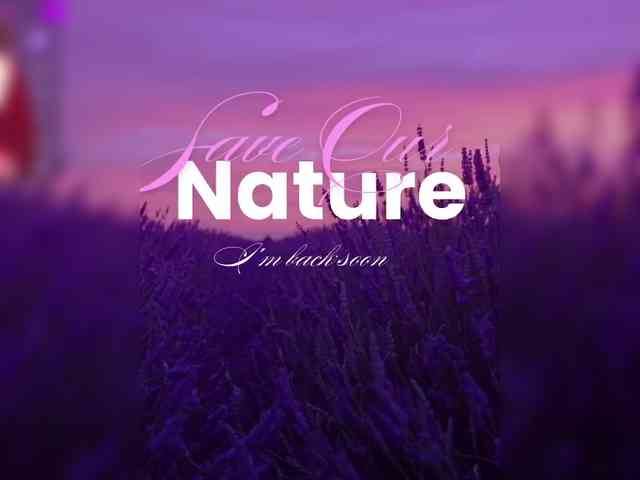 Flower_Jasmine webcam