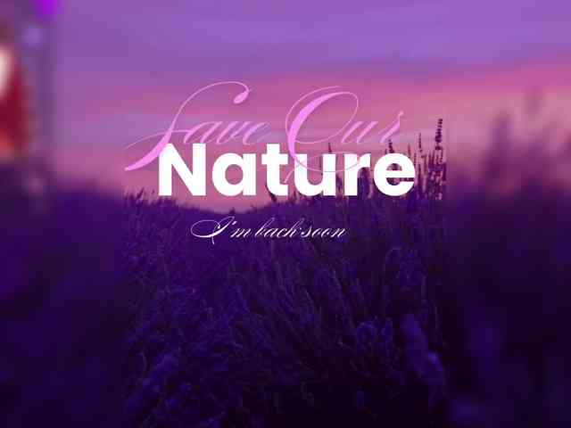 Flower_Jasmine webcam