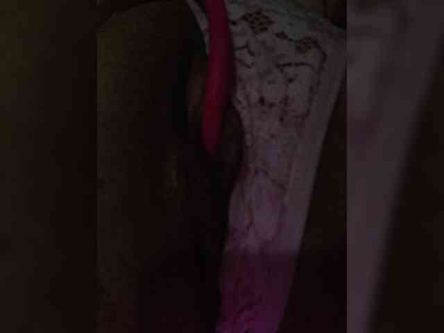 Flower_Jasmine webcam