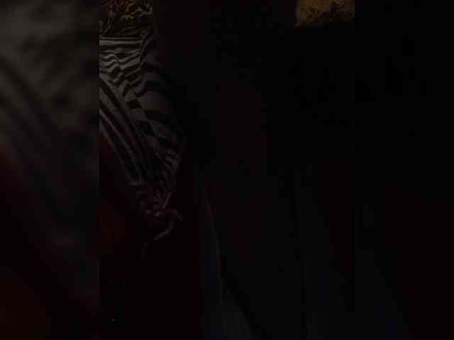 Flower_Jasmine webcam