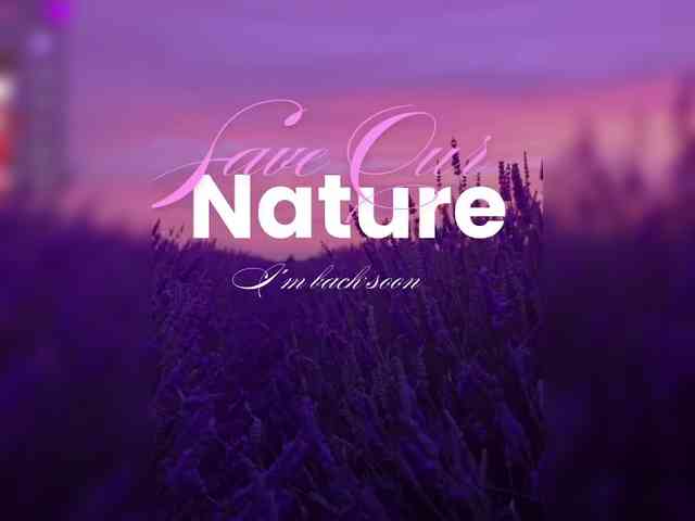 Flower_Jasmine webcam