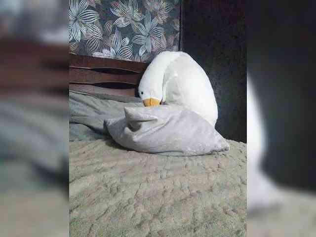 CJlaDkuE_MblcJlu webcam