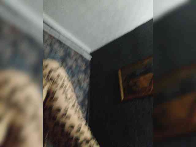 CJlaDkuE_MblcJlu webcam