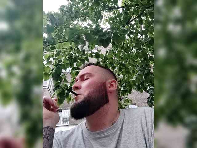 StoyakSp StoyakSp