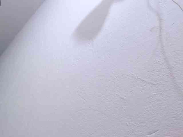 scarlett-dubois webcam