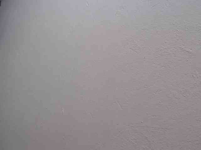 scarlett-dubois webcam