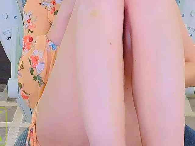 AureliaFly AureliaFly