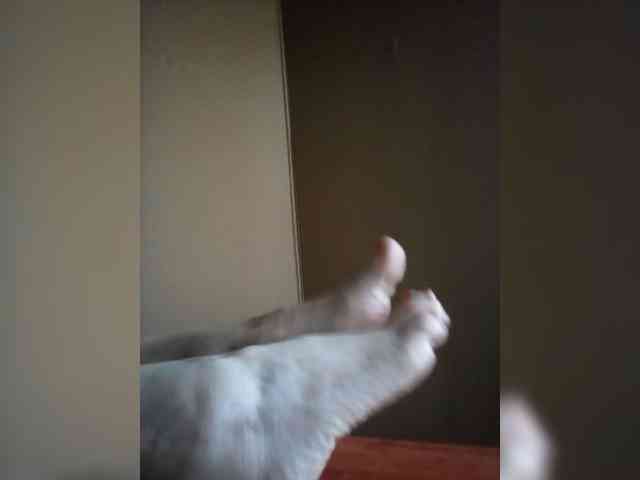 -laBlancaNoche- webcam