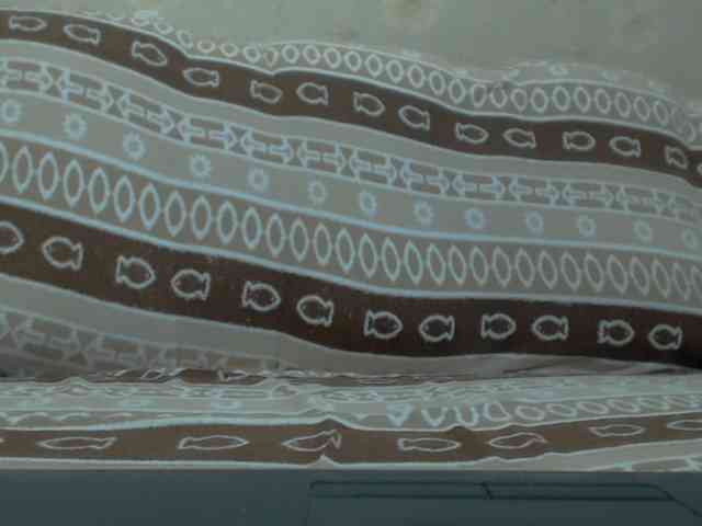 RoseLady1 webcam