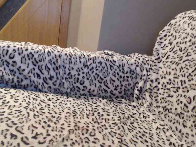 RoseLady1 webcam
