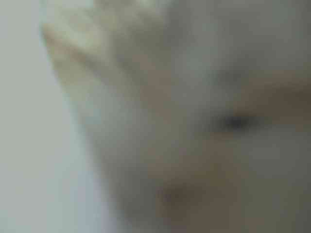 RoseLady1 webcam