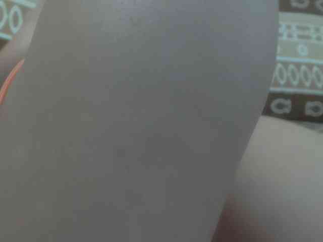 RoseLady1 webcam