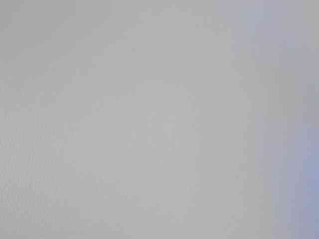 Shy_foxY webcam