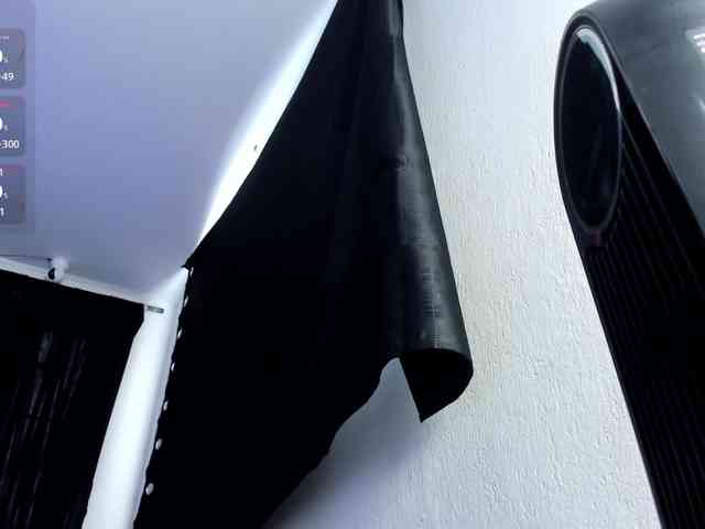 karolina-evans webcam