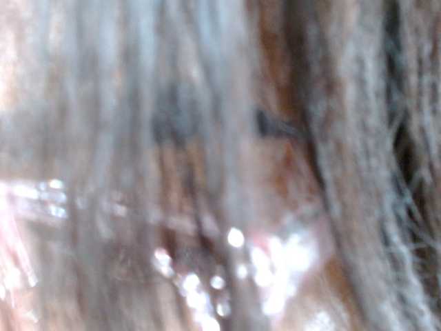 piliusme