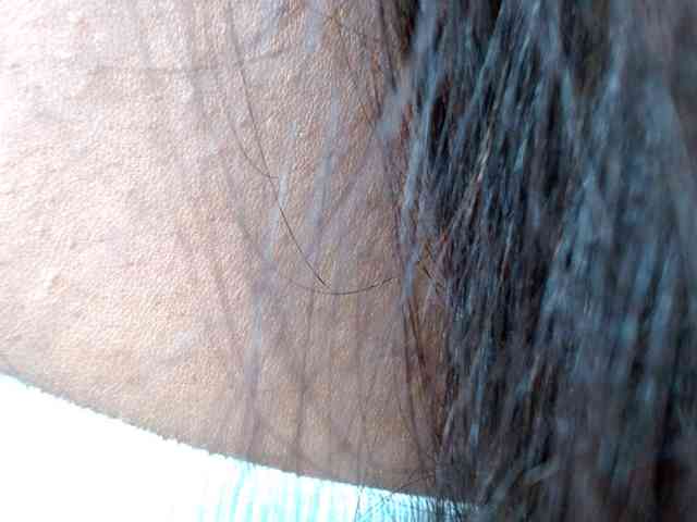 piliusme