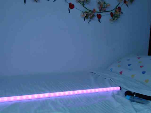 -EmilyxGrasez- webcam