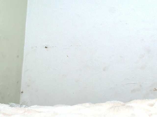 Alondraconnor live cam on BongaCams