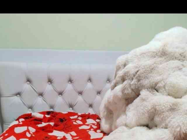 Alondra__connor webcam