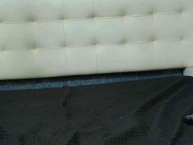 Alondra__connor webcam