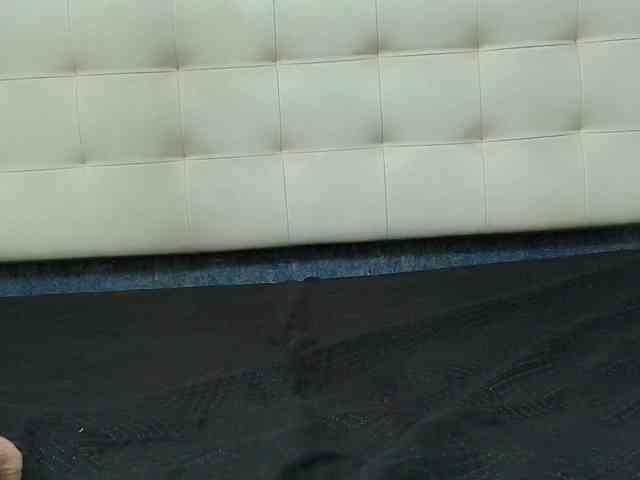 Alondra__connor webcam