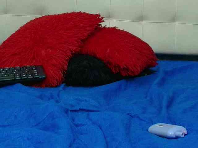 Alondra__connor webcam