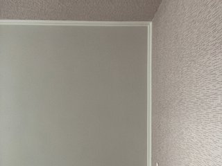 LynnMonica Porn Show