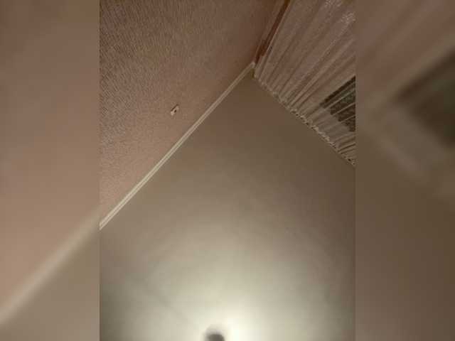 LynnMonica live cam preview
