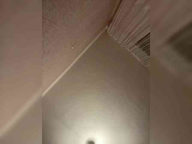 LynnMonica webcam