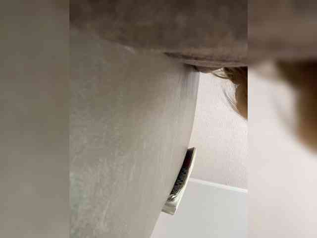 LynnMonica webcam